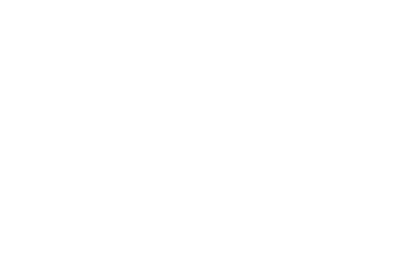 rionorte solstice logo white